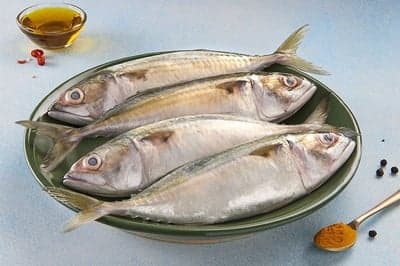 Fresh Seafood